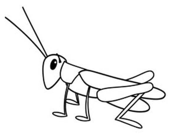 dibujo pequeno saltamontes para colorear