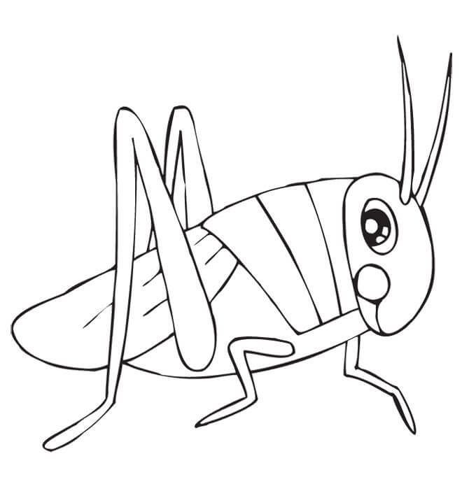 dibujo saltamontes basico para colorear
