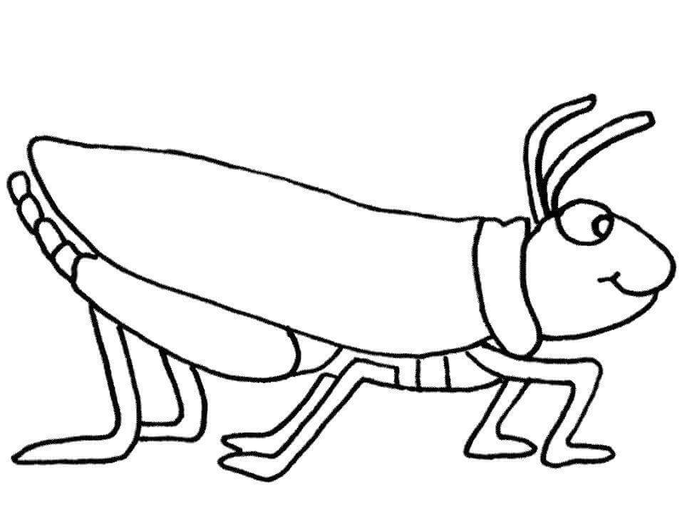 dibujo saltamontes impresionante para colorear