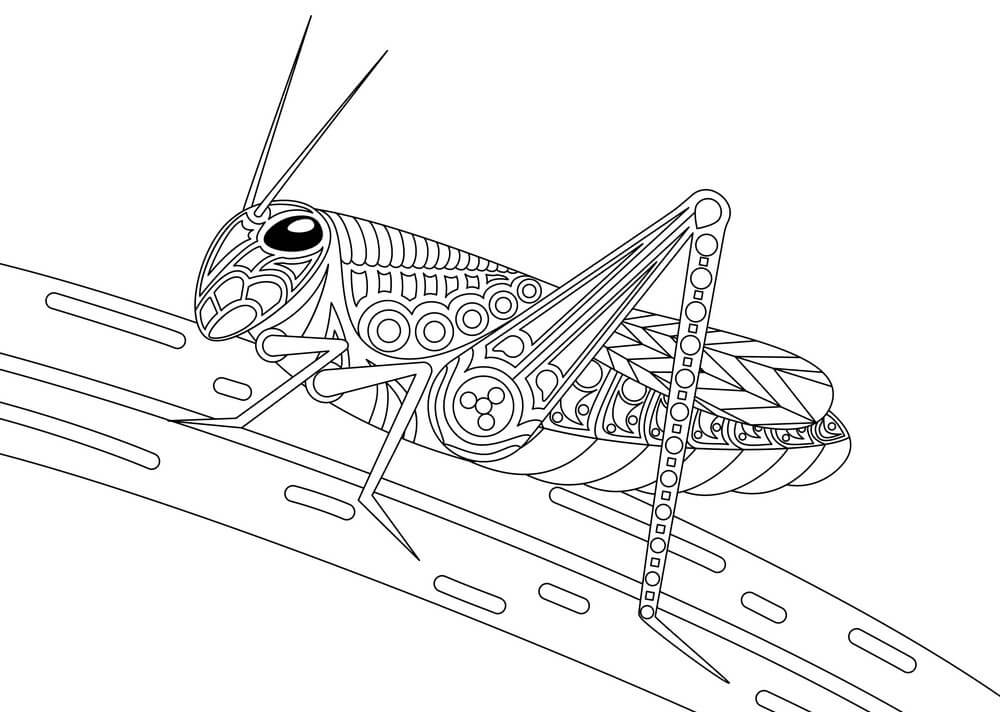 dibujo saltamontes monocromo para colorear