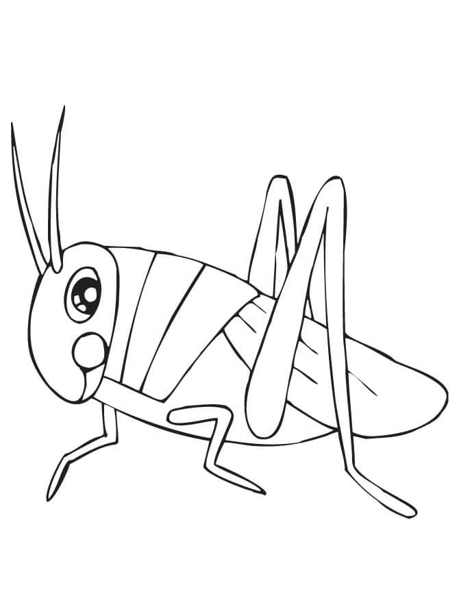 dibujo saltamontes simple para colorear