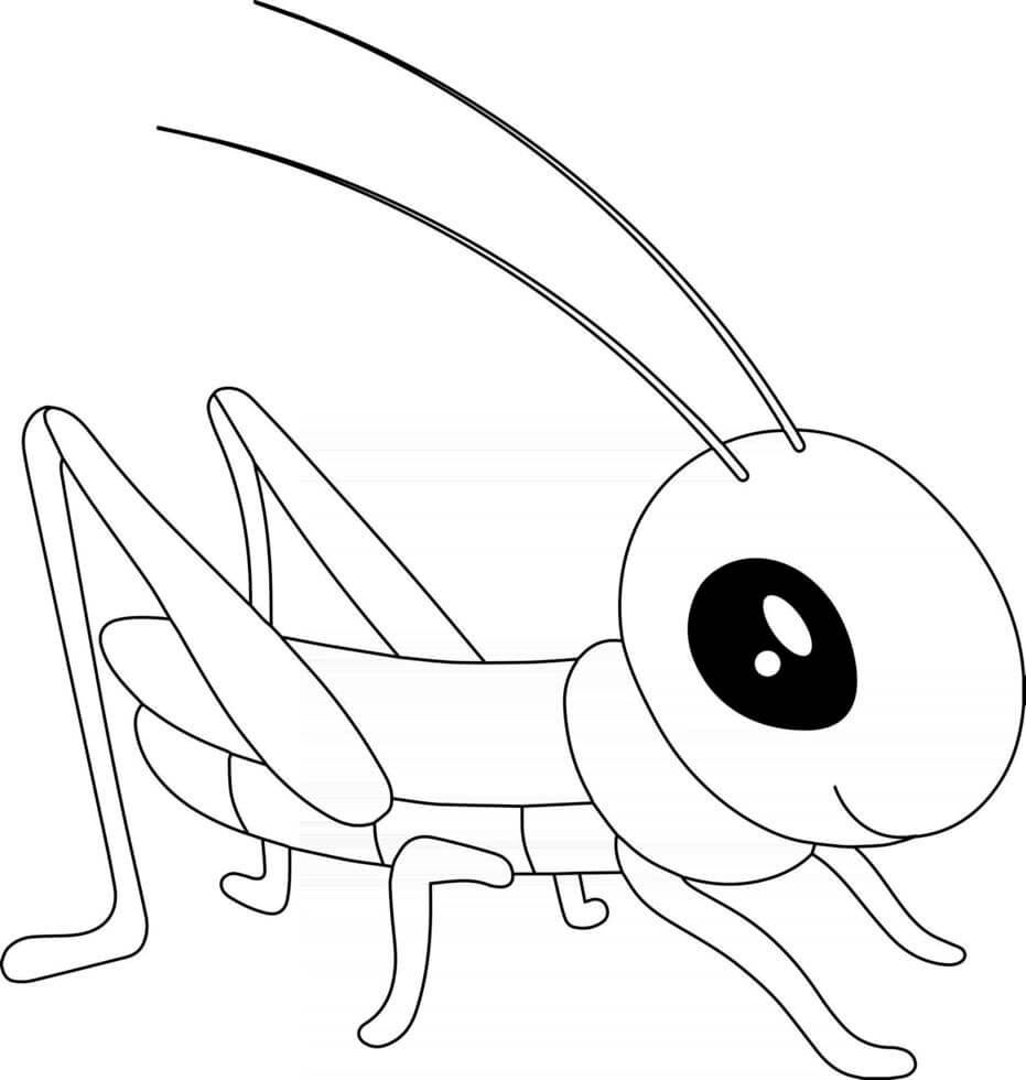 dibujo saltamontes sonriendo para colorear