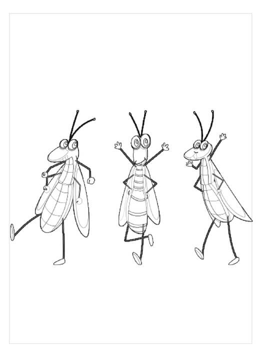 dibujo tres saltamontes para colorear