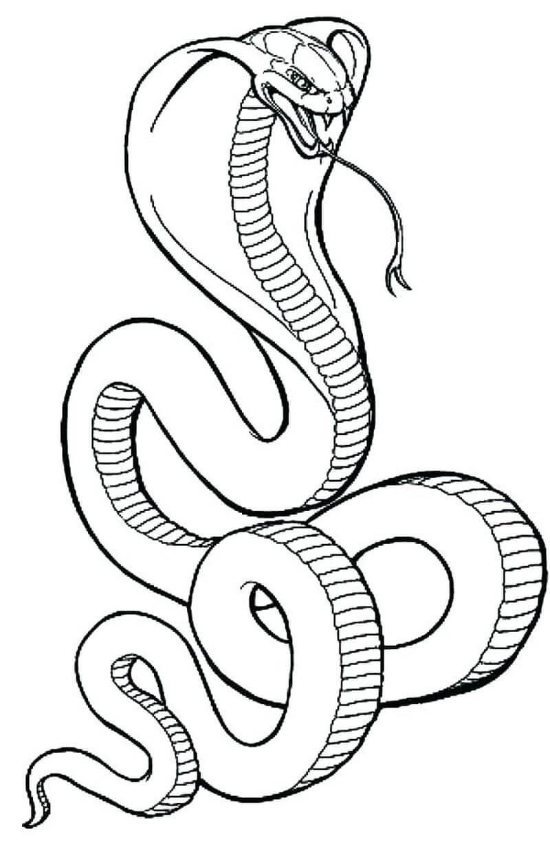 dibujo cobra aterradora para colorear