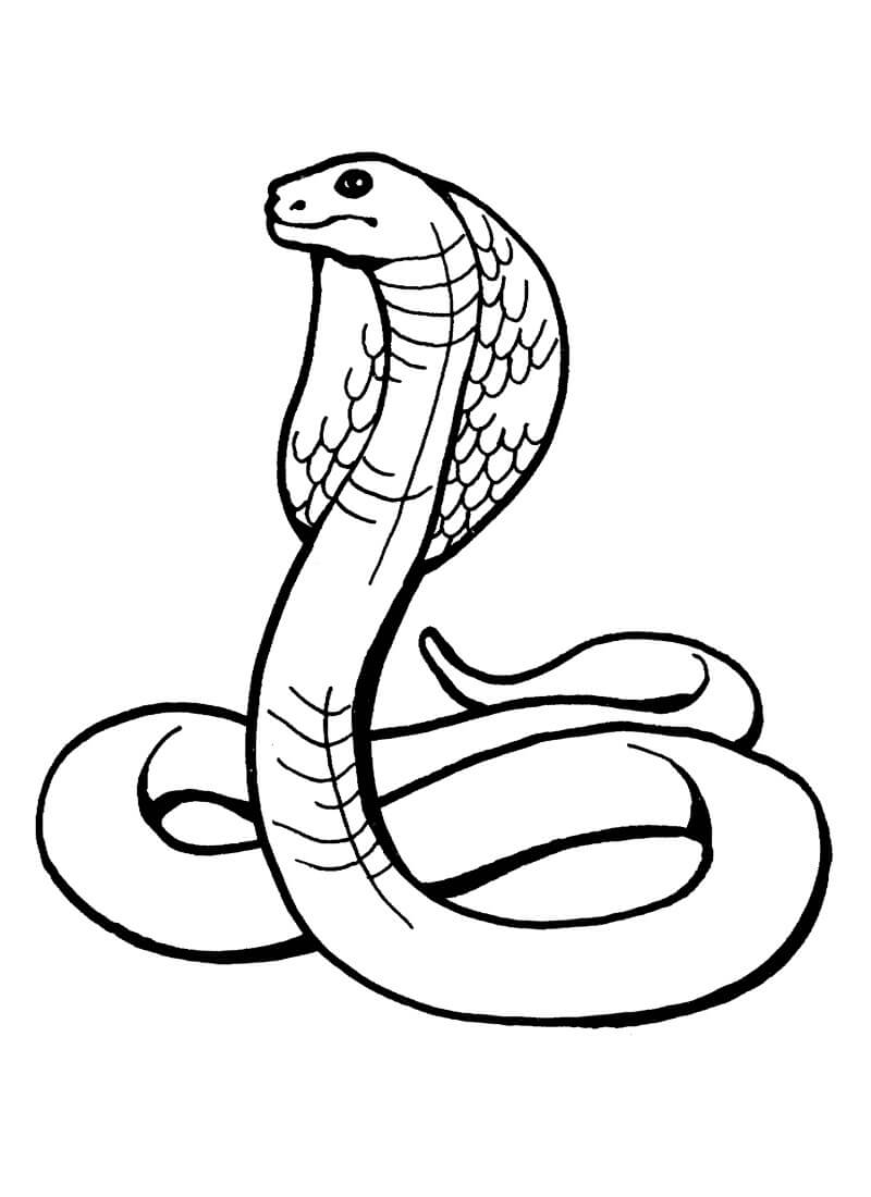 dibujo cobra genial para colorear