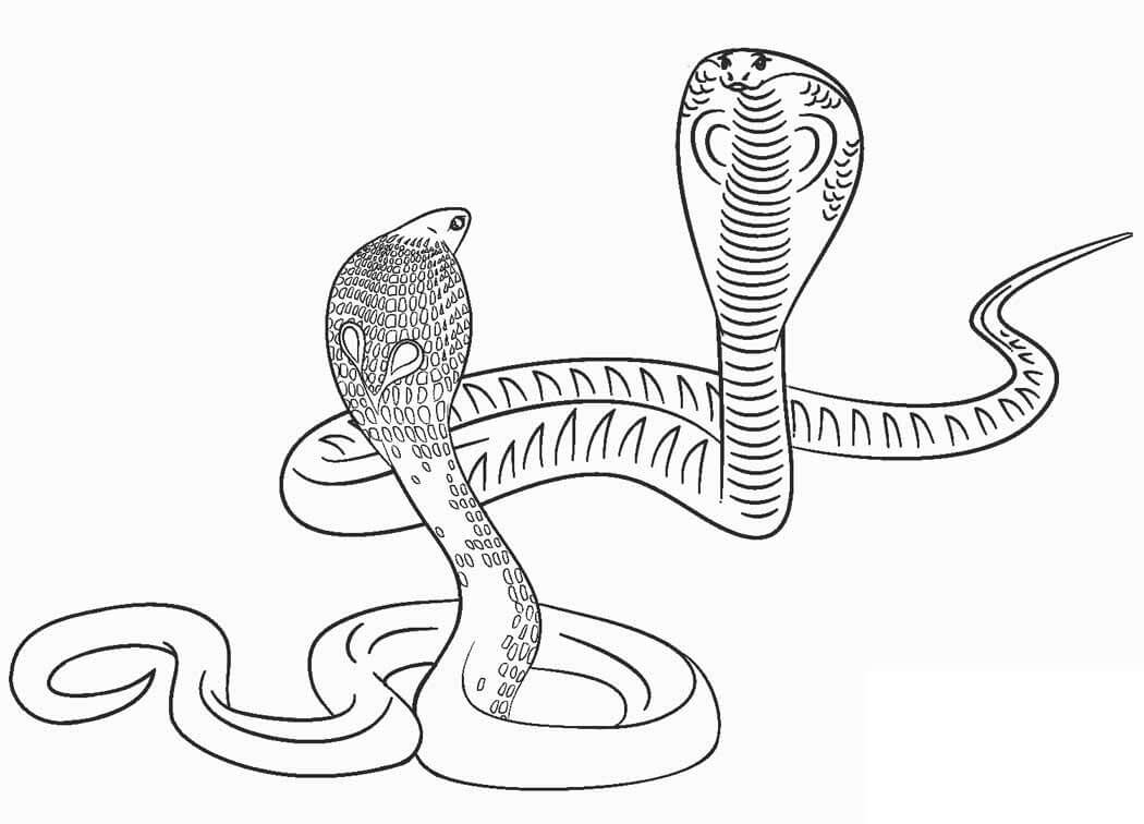 dibujo dos corba para colorear