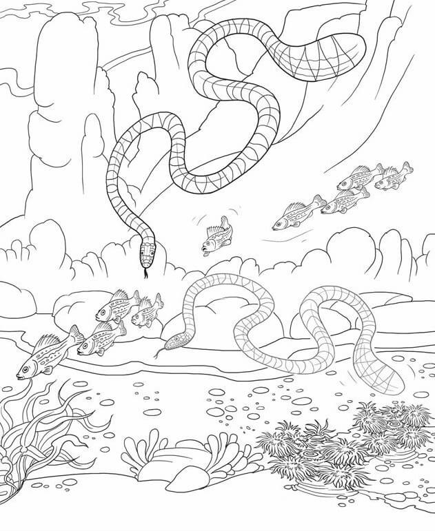 dibujo dos serpientes marinas con peces para colorear