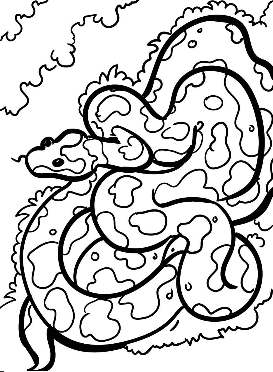 dibujo serpiente de camuflaje para colorear
