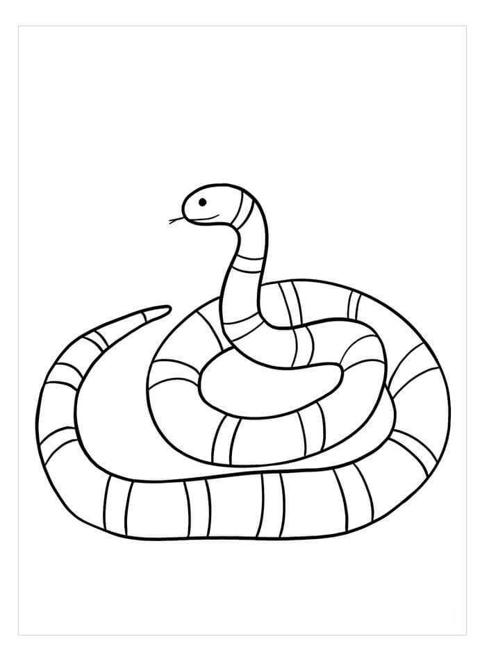 dibujo serpiente de coral para colorear