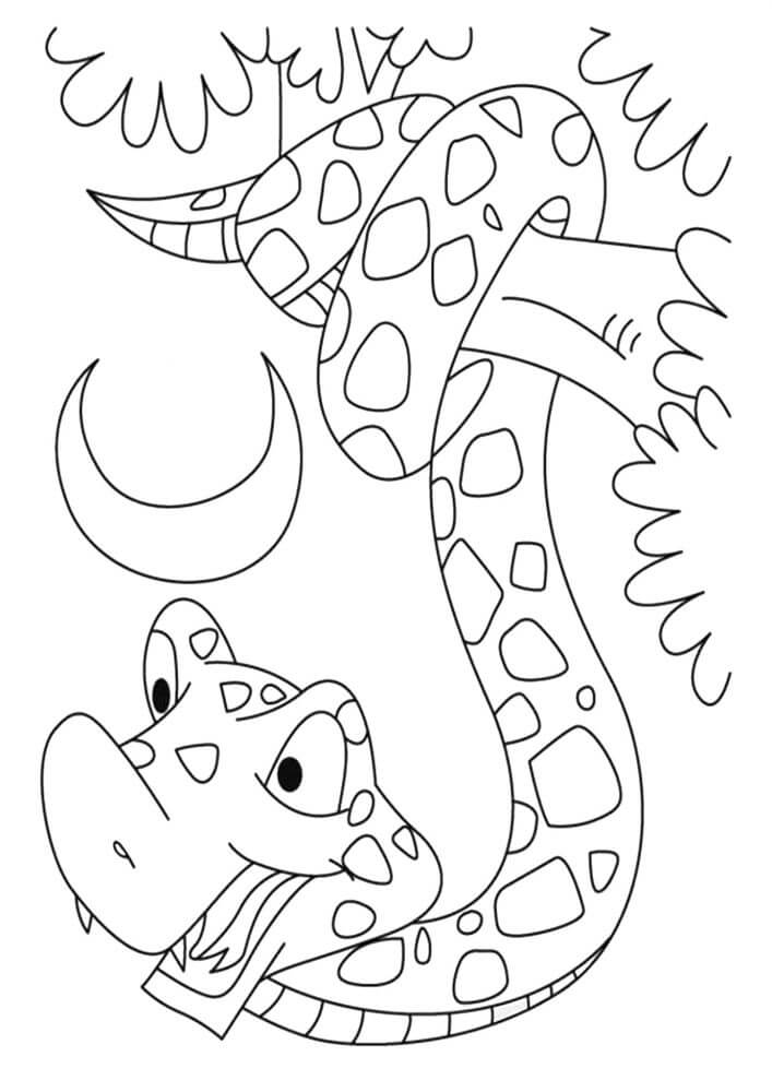 dibujo serpiente en la noche para colorear