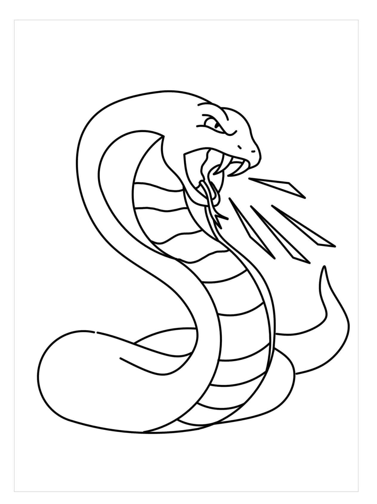 dibujo serpiente enojada para colorear