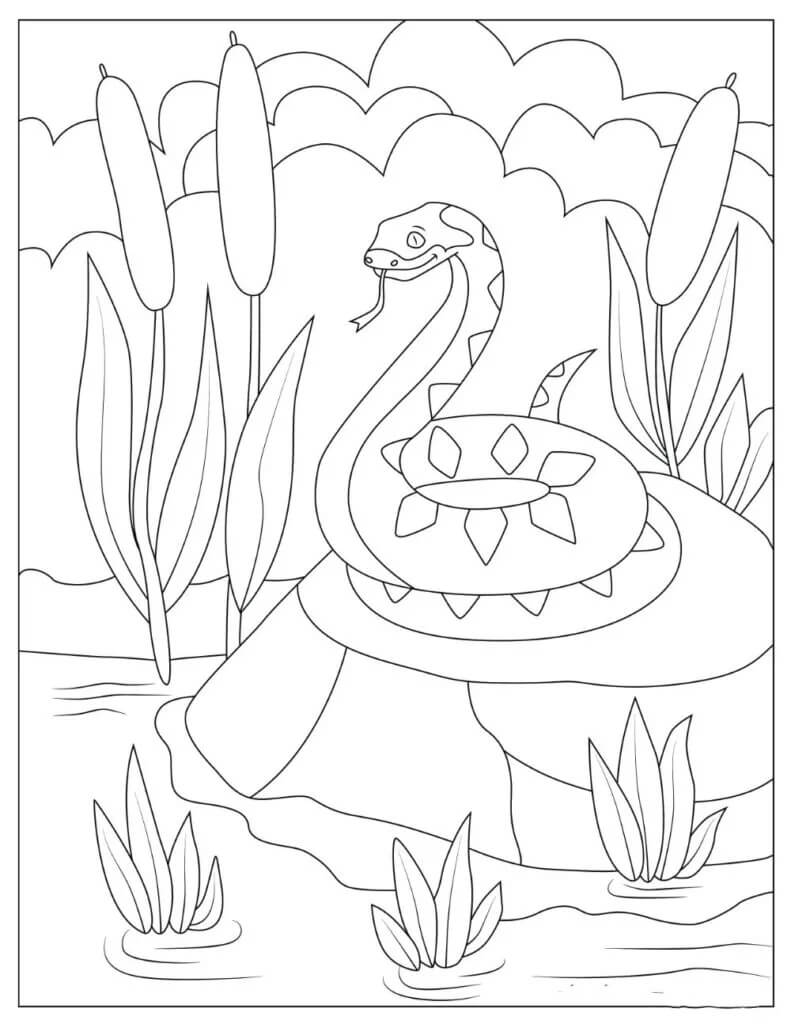 dibujo serpiente libre para colorear