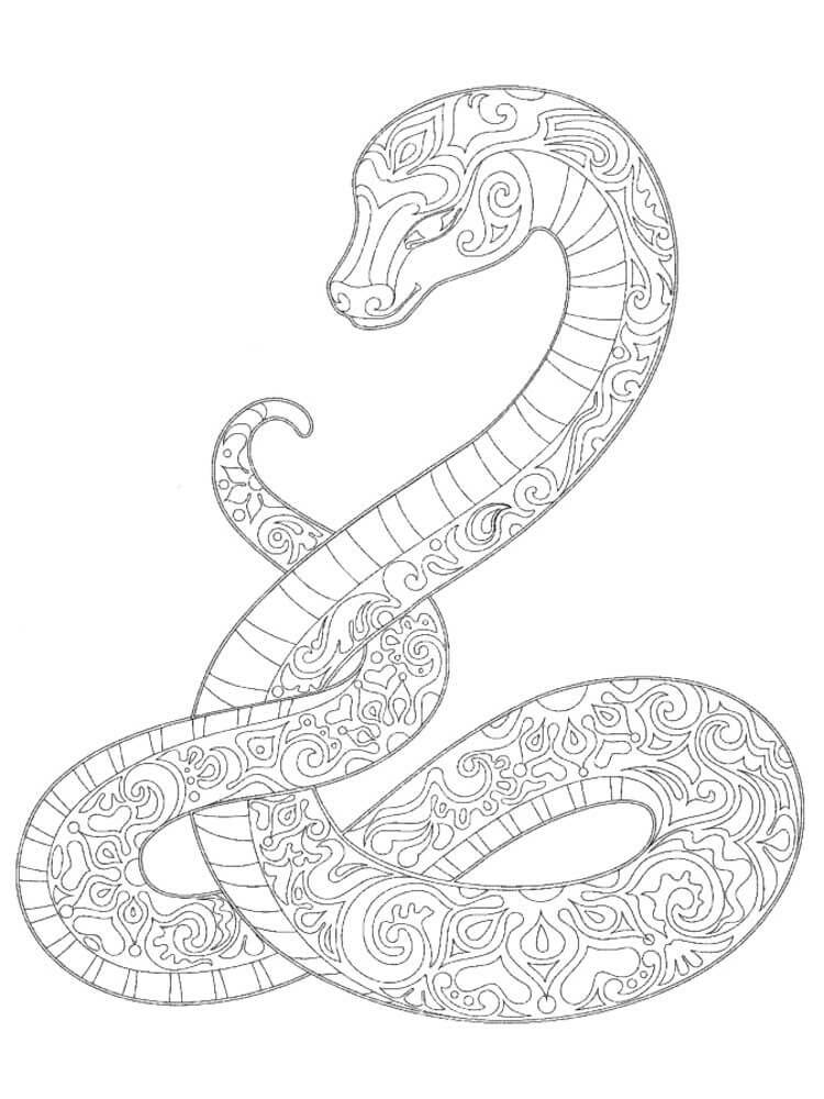 dibujo serpiente mandala para colorear