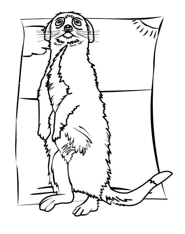 dibujo agradable suricata para colorear