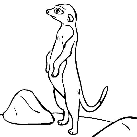 dibujo buen suricata para colorear