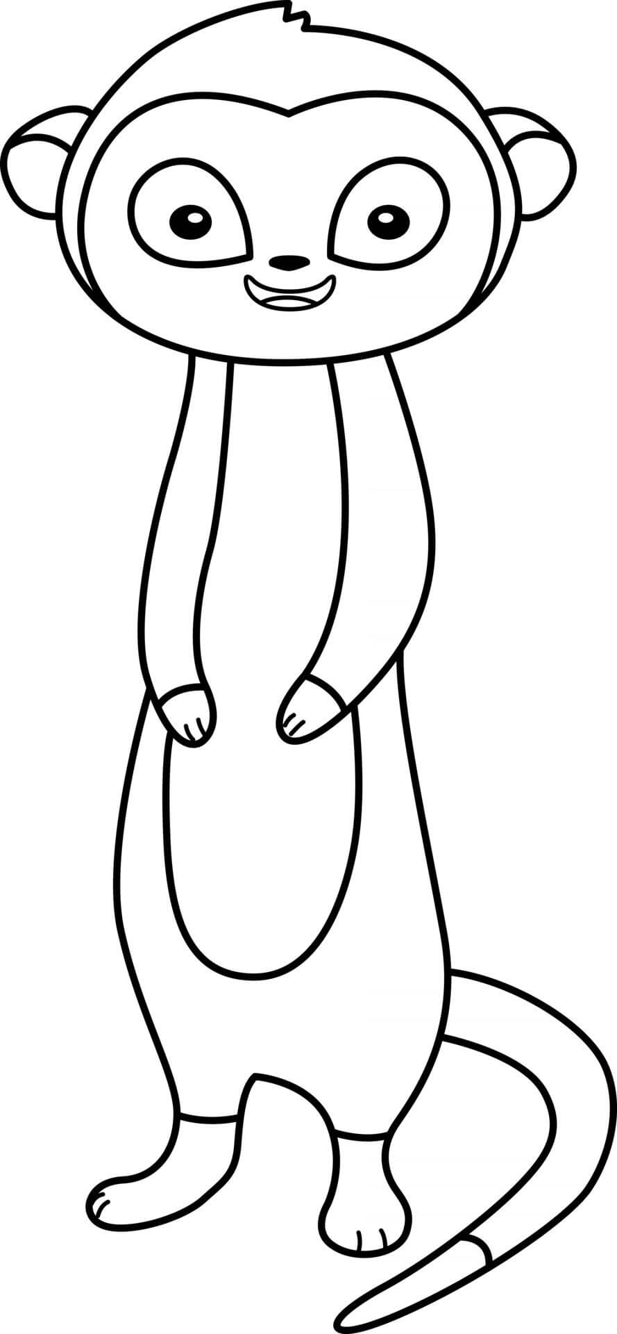 dibujo gran suricata para colorear