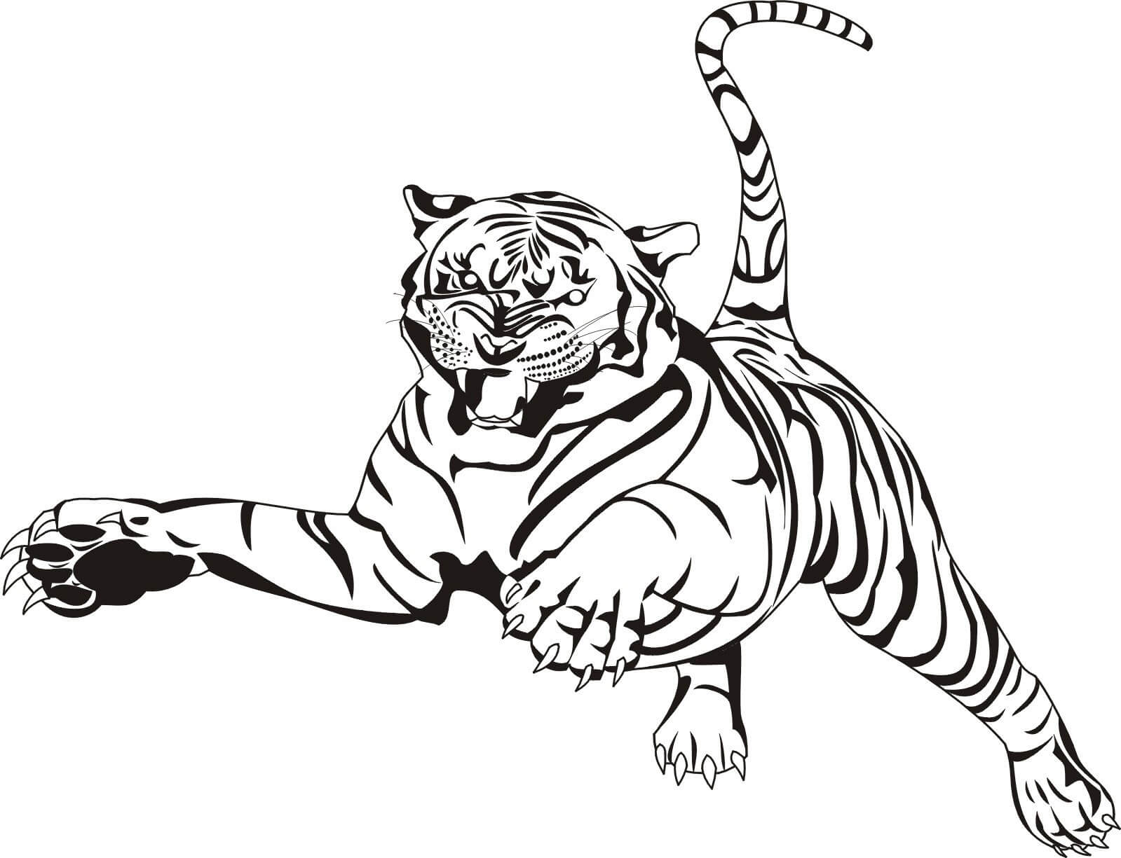 dibujo ataque de tigre para colorear