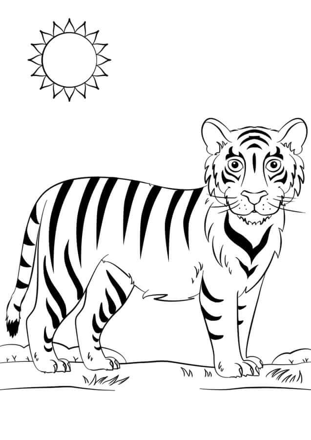 dibujo bonito tigre para colorear
