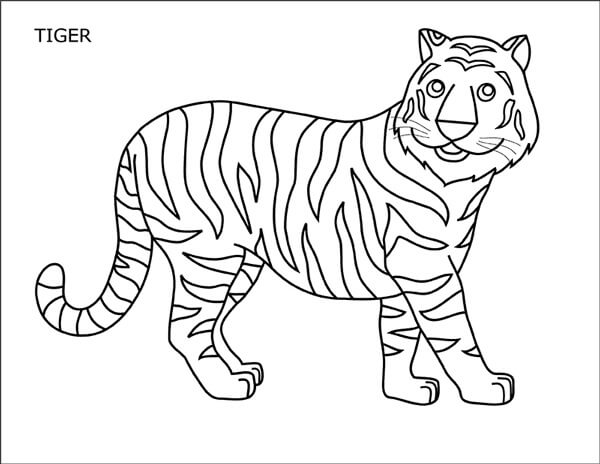 dibujo divertido tigre para colorear