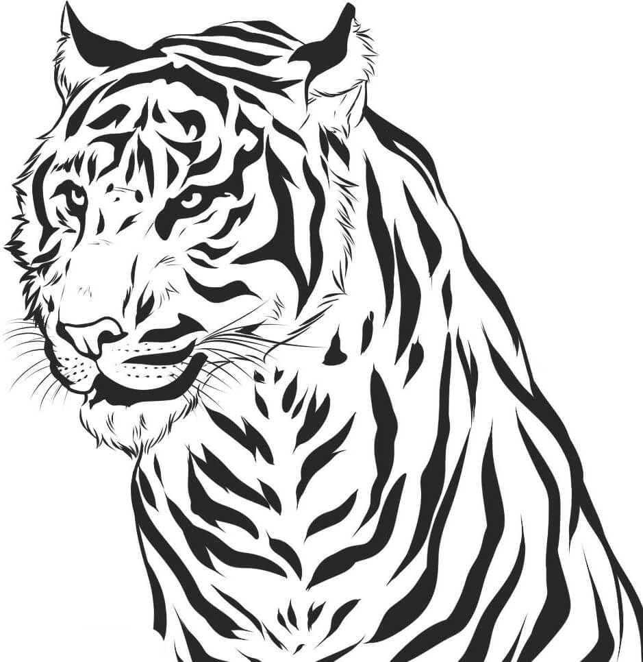 dibujo retrato del tigre para colorear