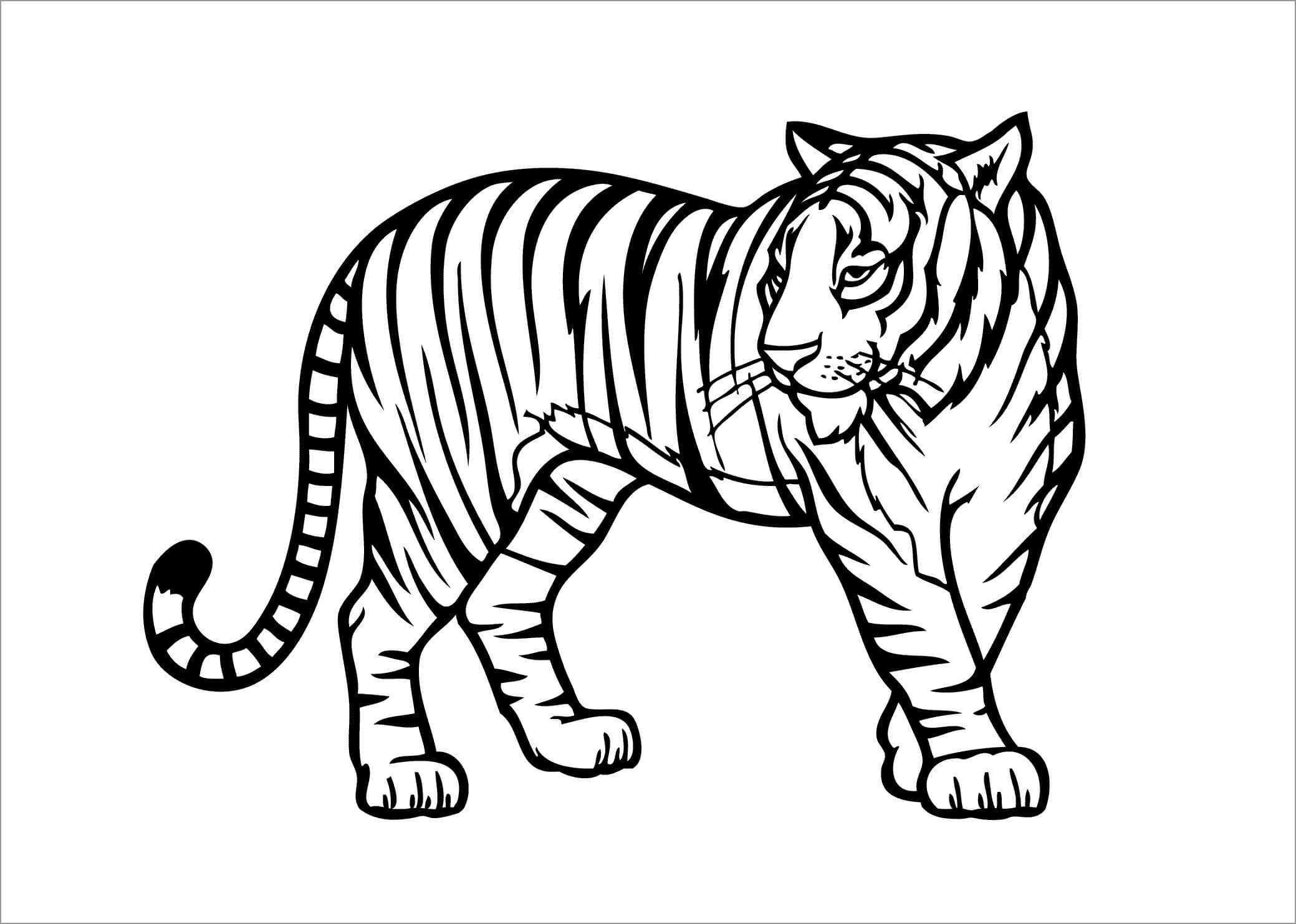 dibujo tigre basico para colorear