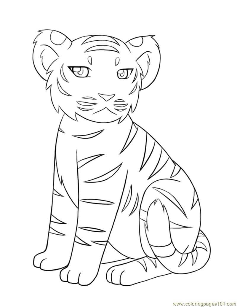 dibujo tigre bebe para colorear