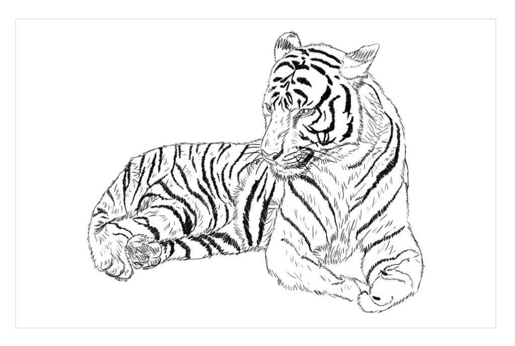 Dibujo Tigre Del Sur De China Para Colorear