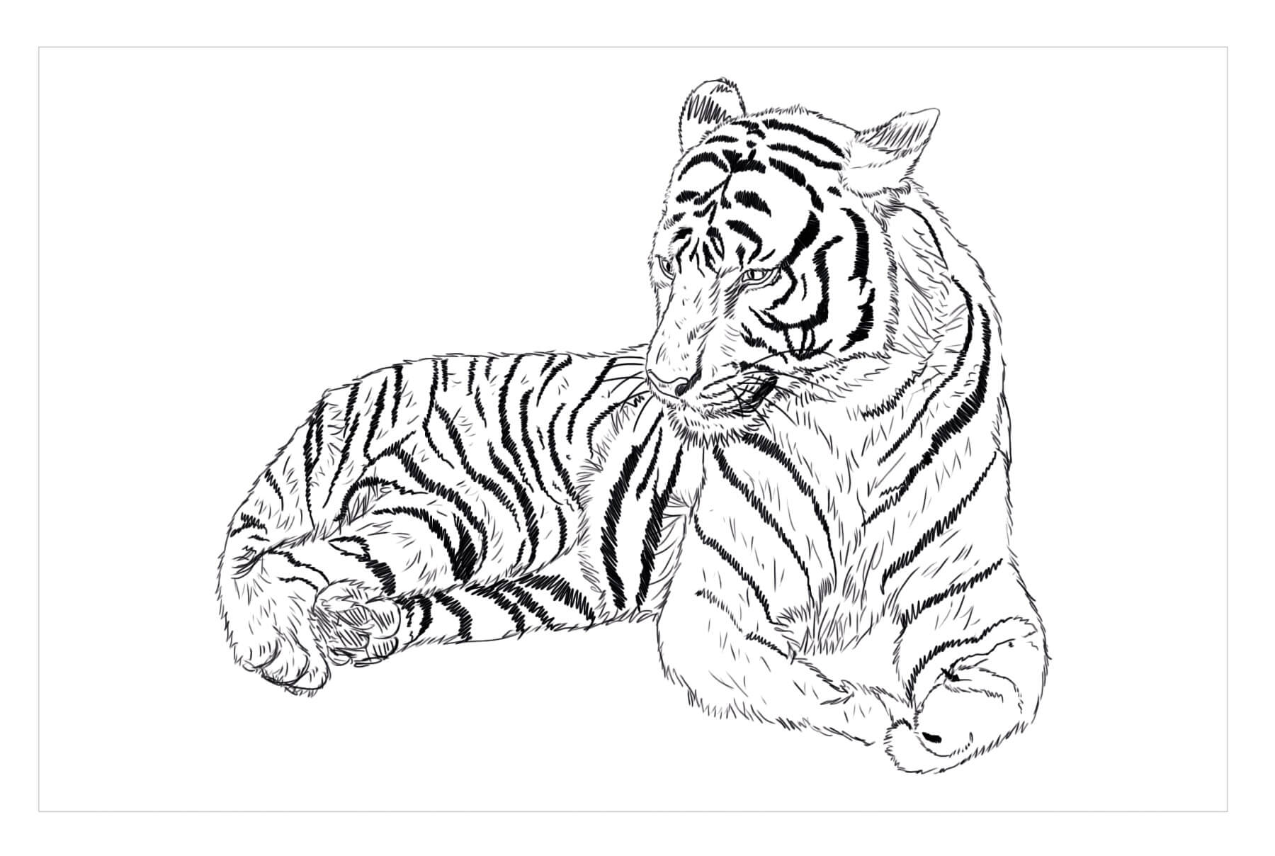 dibujo tigre del sur de china para colorear