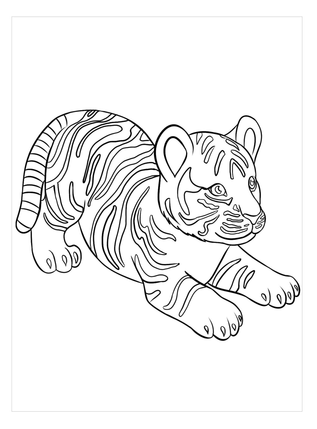 dibujo tigre perfecto para colorear