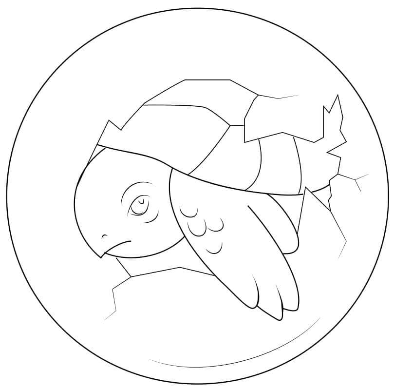 dibujo bonita tortuga para colorear