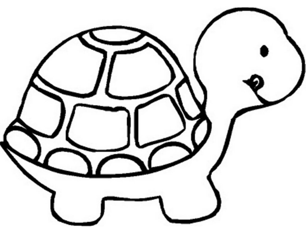 Dibujo La Tortuga Es Para Nino Para Colorear