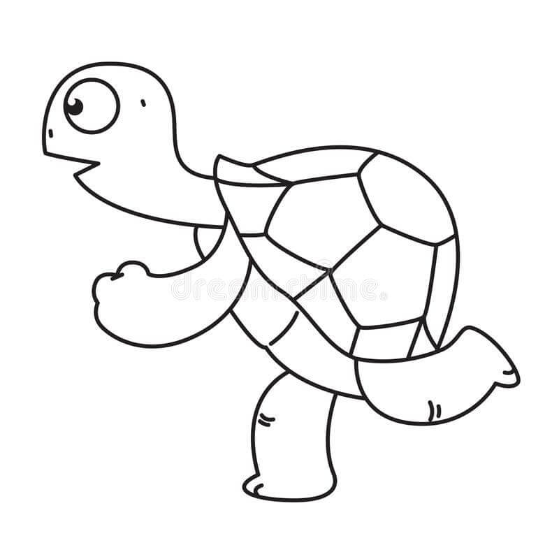 dibujo tortuga corriendo para colorear