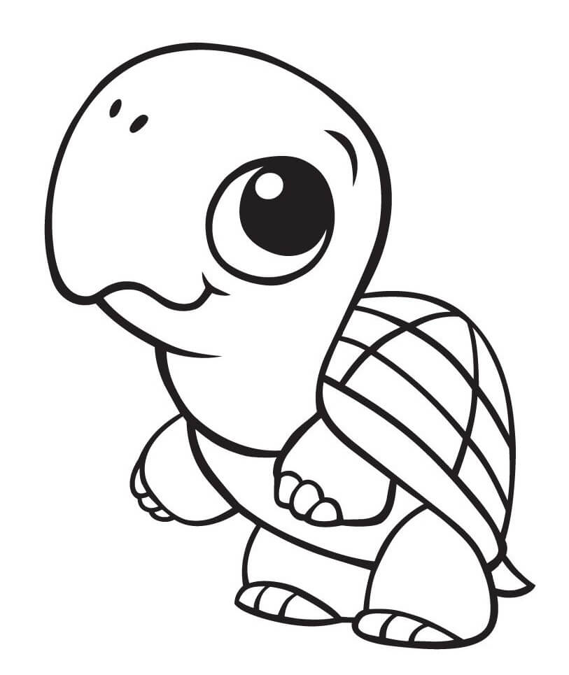 dibujo tortuga linda para colorear