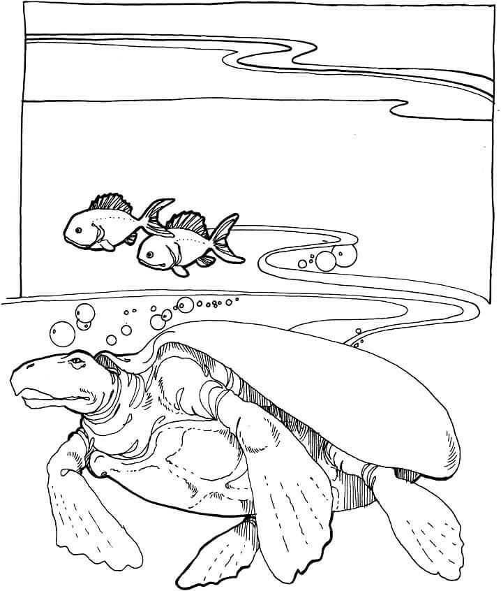 dibujo tortuga marina nadando para colorear