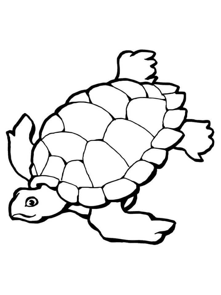 dibujo tortuga marina simple para colorear