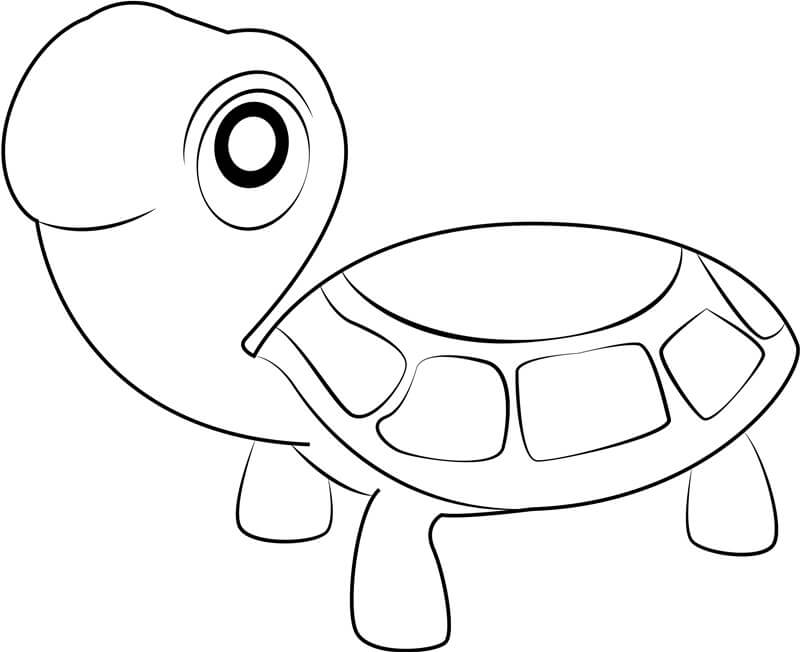 dibujo tortuga sonriendo con vela para colorear
