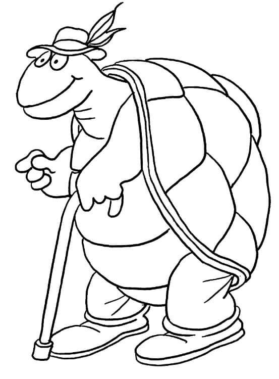 dibujo tortuga vieja para colorear