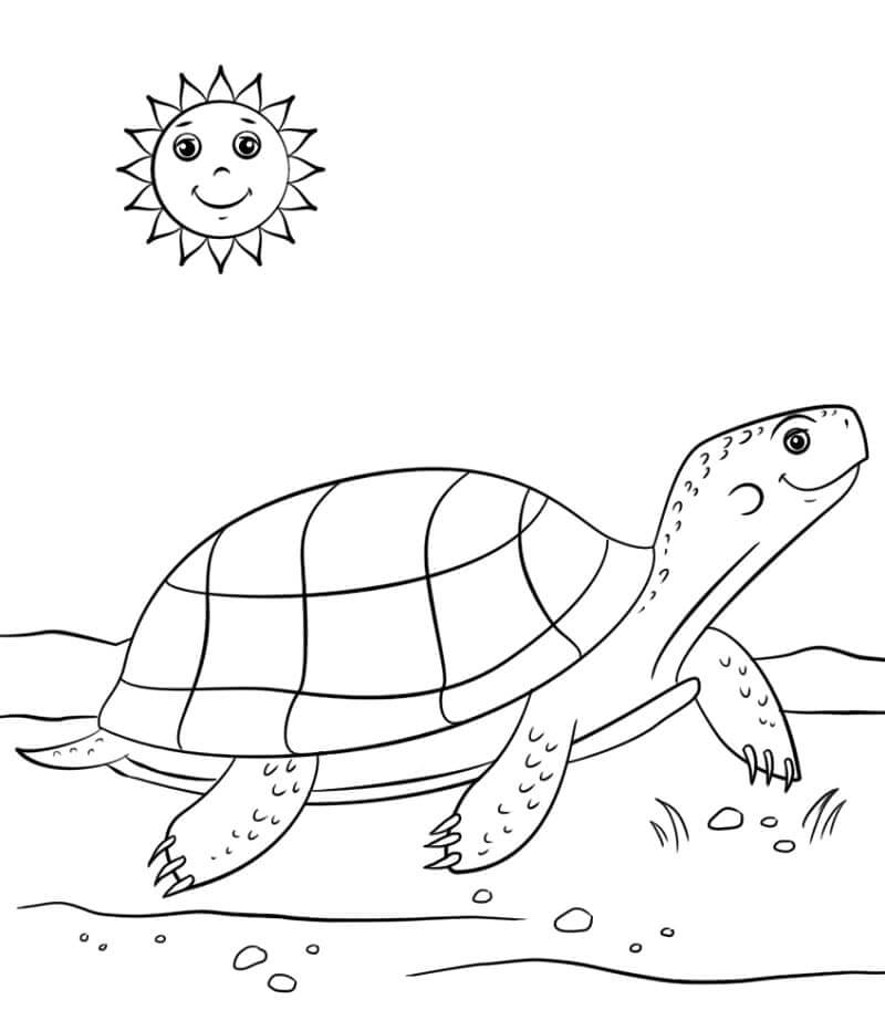 dibujo tortuga y sol sonriendo para colorear