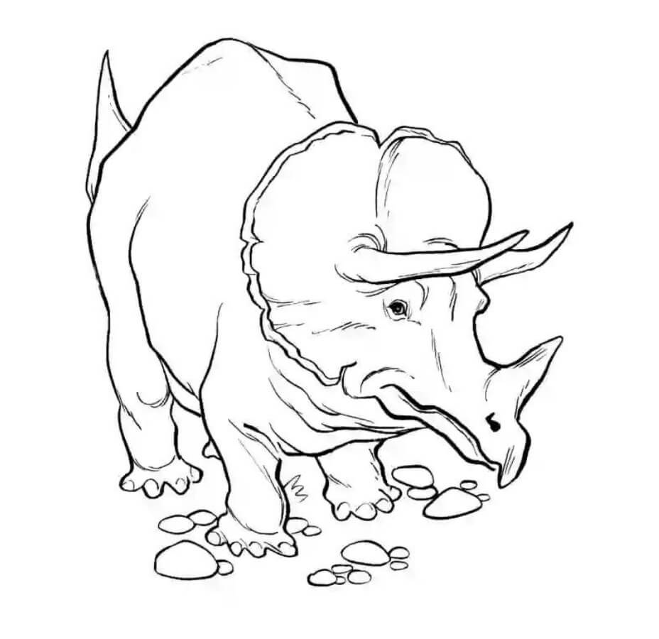 dibujo fotos gratis de triceratops para colorear