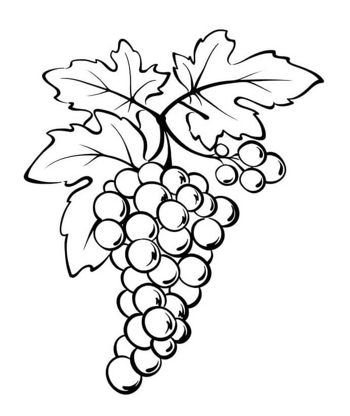 Uvas para Colorear