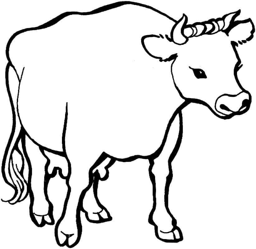 Dibujo de Una Vaca para Colorear y Imprimir
