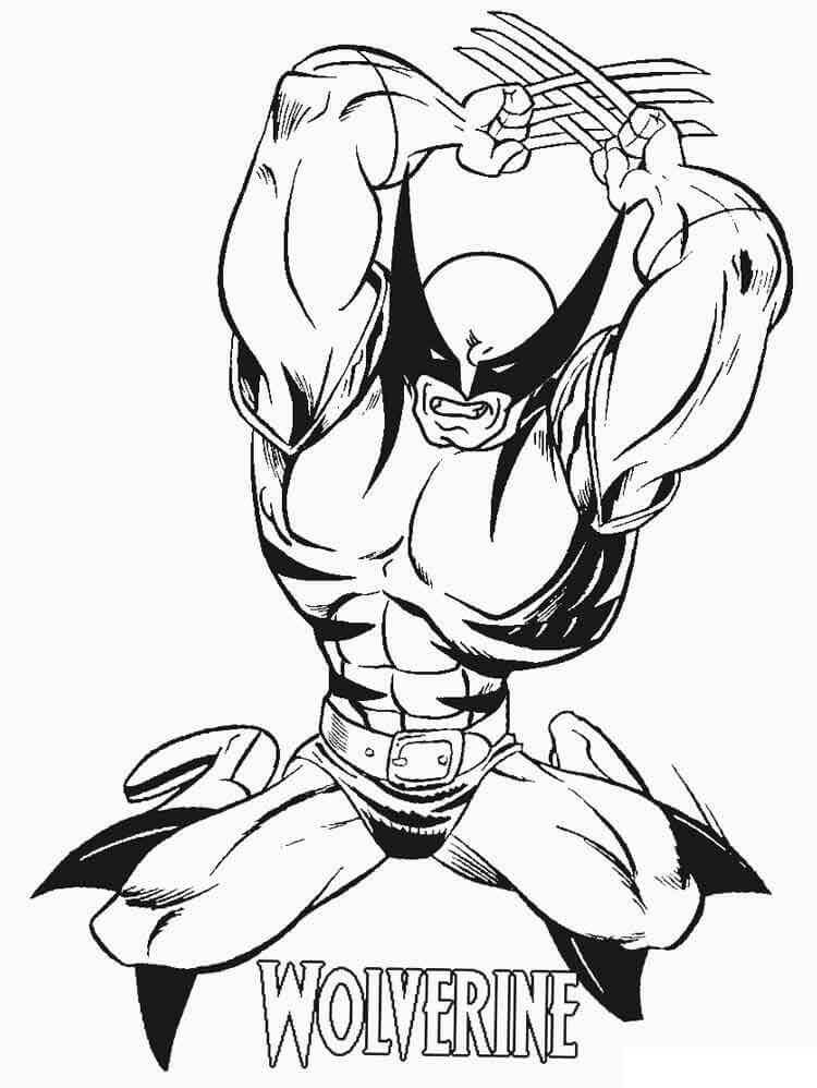Wolverine para Colorear